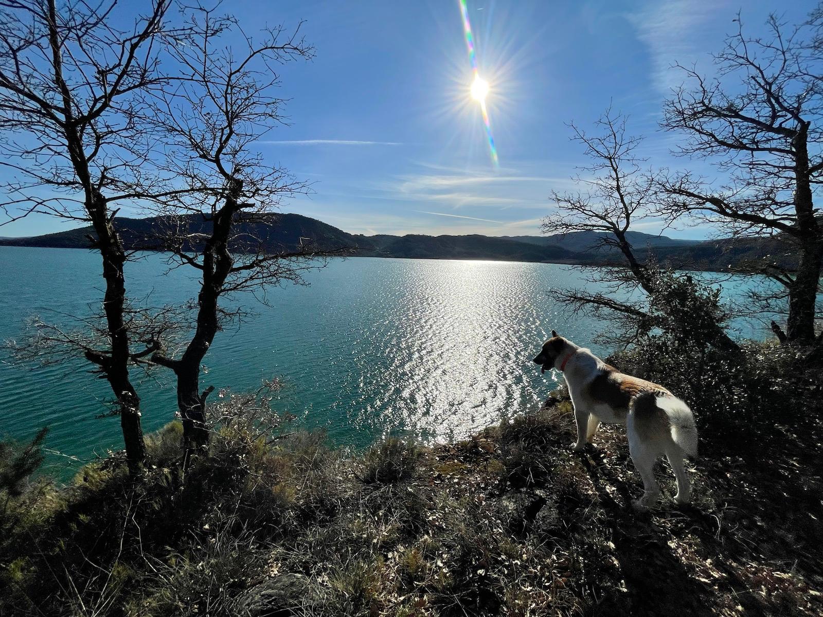 Embalse al atardecer entre las montañas del Sobrarbe, con un perro asomado en primer plano